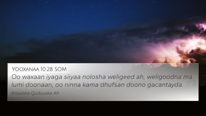Yooxanaa 10:28 SOM Bible Verse Image