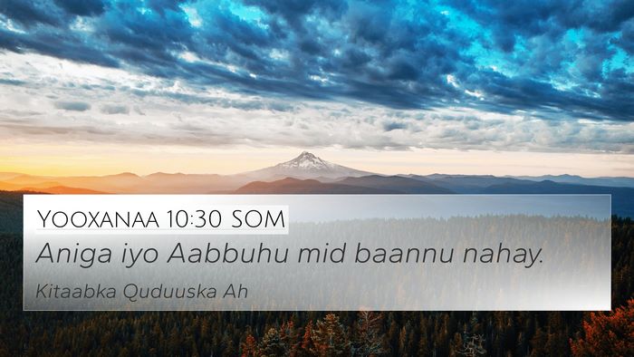 Yooxanaa 10:30 SOM Bible Verse Image