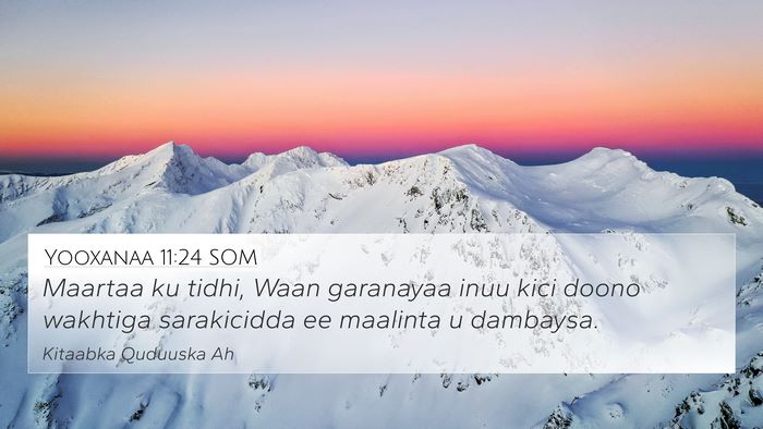 Yooxanaa 11:24 SOM Bible Verse Image