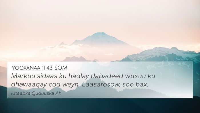 Yooxanaa 11:43 SOM Bible Verse Image