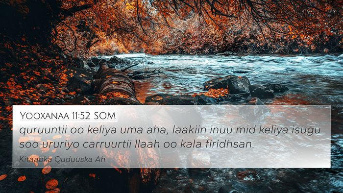 Yooxanaa 11:52 SOM Bible Verse Image