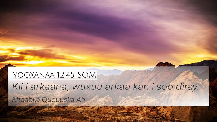 Yooxanaa 12:45 SOM Bible Verse Image