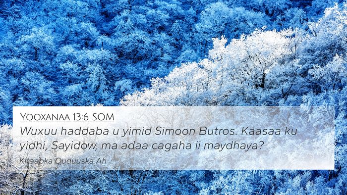 Yooxanaa 13:6 SOM Bible Verse Image