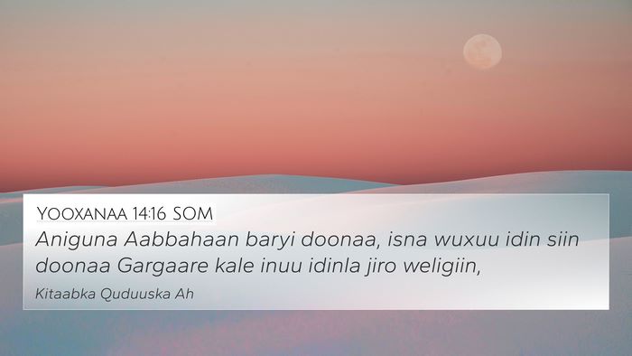 Yooxanaa 14:16 SOM Bible Verse Image