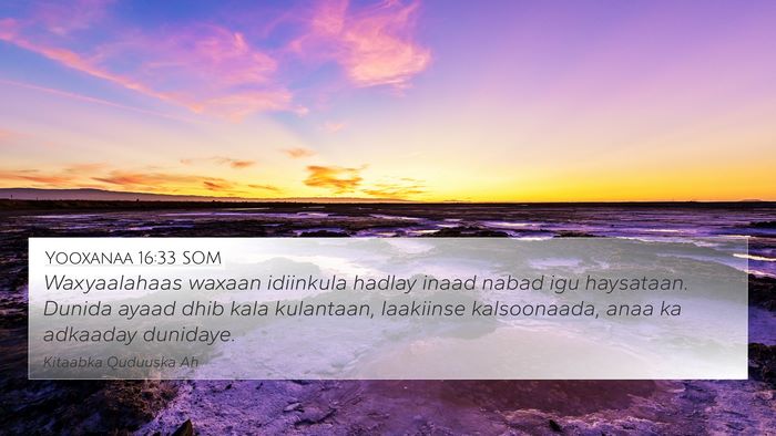Yooxanaa 16:33 SOM Bible Verse Image