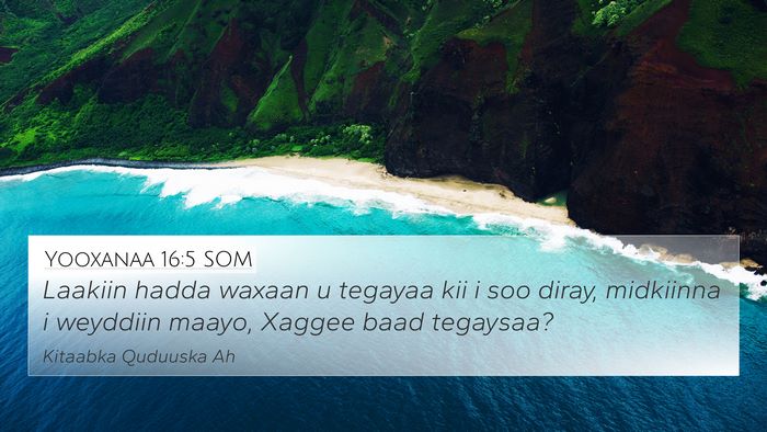 Yooxanaa 16:5 SOM Bible Verse Image