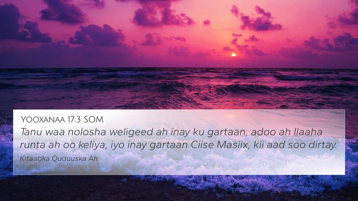 Yooxanaa 17:3 SOM Bible Verse Image