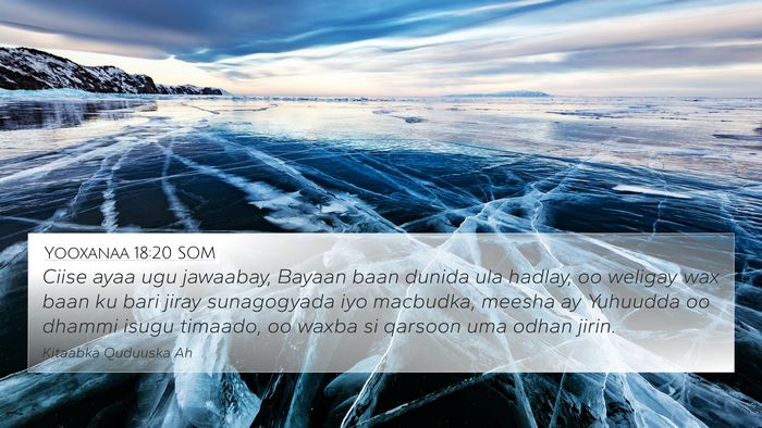 Yooxanaa 18:20 SOM Bible Verse Image