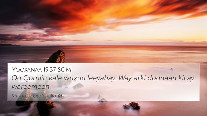 Yooxanaa 19:37 SOM Bible Verse Image