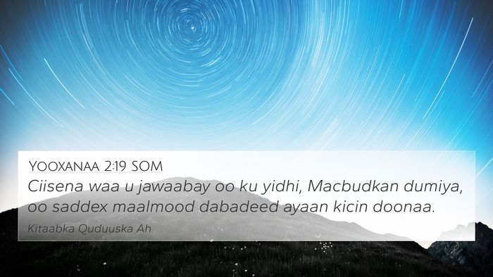 Yooxanaa 2:19 SOM Bible Verse Image