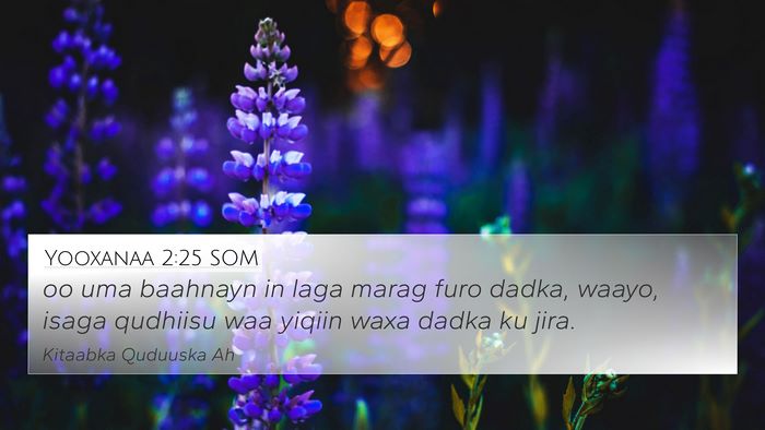 Yooxanaa 2:25 SOM Bible Verse Image