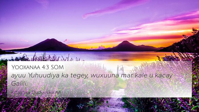 Yooxanaa 4:3 SOM Bible Verse Image