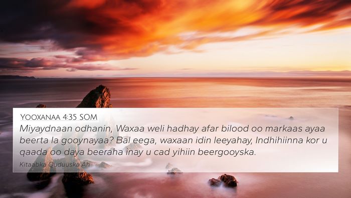 Yooxanaa 4:35 SOM Bible Verse Image