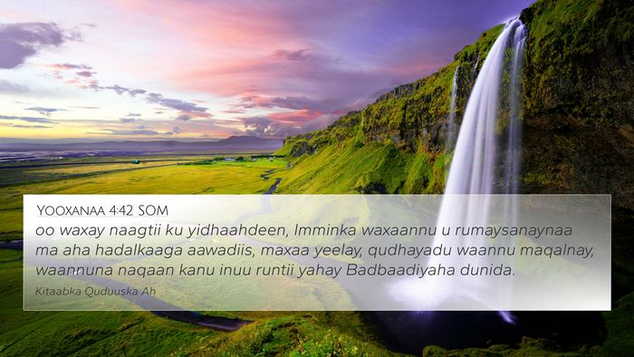 Yooxanaa 4:42 SOM Bible Verse Image