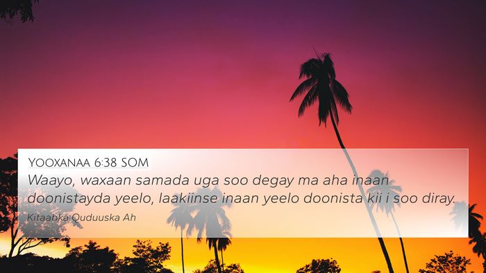 Yooxanaa 6:38 SOM Bible Verse Image