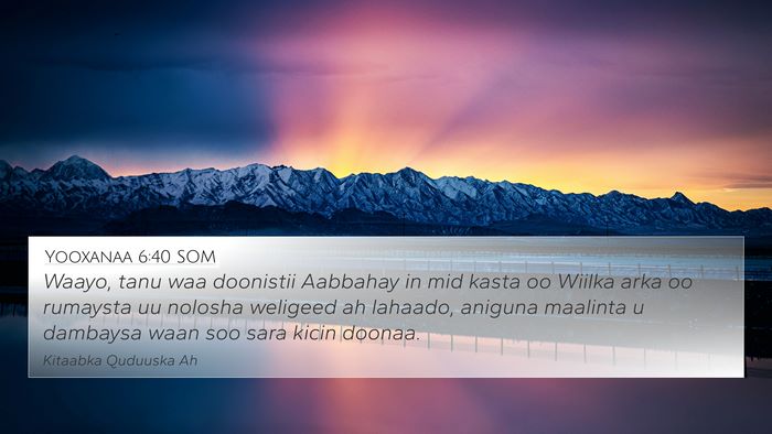 Yooxanaa 6:40 SOM Bible Verse Image