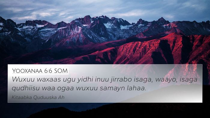 Yooxanaa 6:6 SOM Bible Verse Image