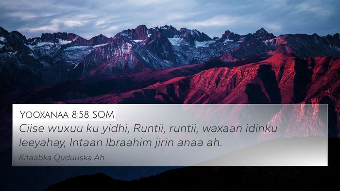 Yooxanaa 8:58 SOM Bible Verse Image