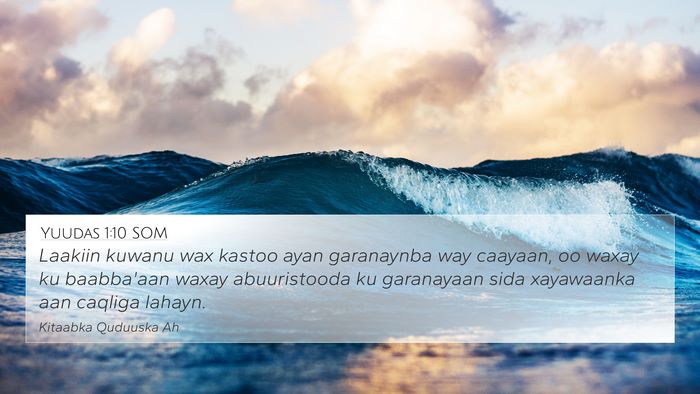 Yuudas 1:10 SOM Bible Verse Image