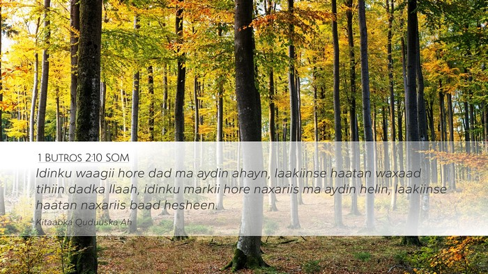 1 Butros 2:10 SOM Desktop Wallpaper - Idinku waagii hore dad ma aydin ahayn, laakiinse - Desktop Bible Verse Wallpaper