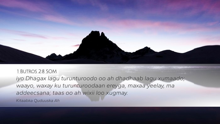 1 Butros 2:8 SOM Bible Verse Image