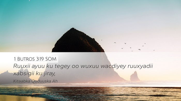 1 Butros 3:19 SOM Bible Verse Image