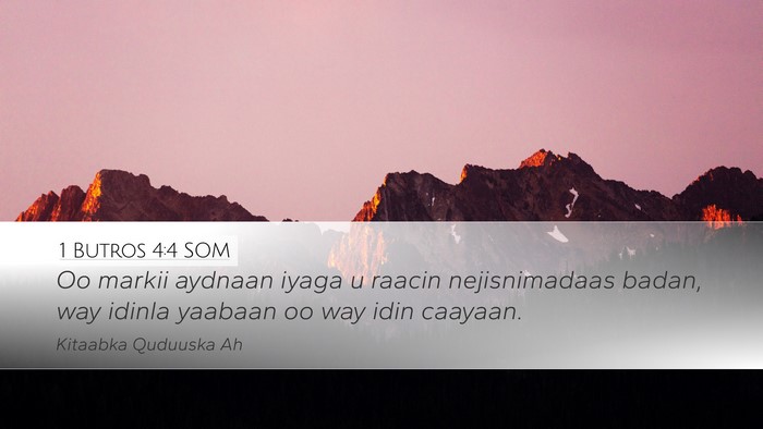 1 Butros 4:4 SOM Desktop Wallpaper - Oo markii aydnaan iyaga u raacin nejisnimadaas - Desktop Bible Verse Wallpaper