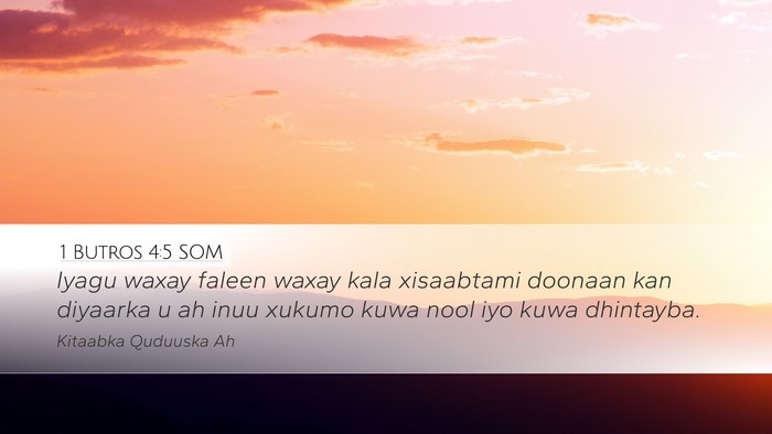 1 Butros 4:5 SOM Desktop Wallpaper - Iyagu waxay faleen waxay kala xisaabtami doonaan - Desktop Bible Verse Wallpaper