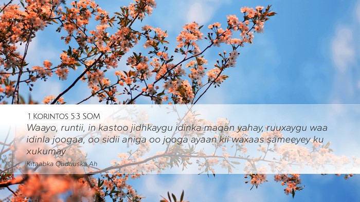 1 Korintos 5:3 SOM Bible Verse Image