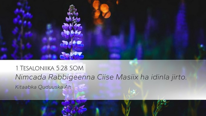 1 Tesaloniika 5:28 SOM Desktop Wallpaper - Nimcada Rabbigeenna Ciise Masiix ha idinla - Desktop Bible Verse Wallpaper