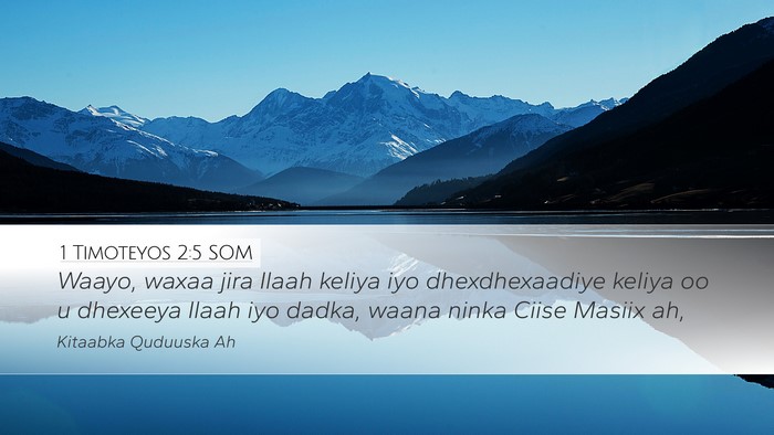 1 Timoteyos 2:5 SOM Bible Verse Image