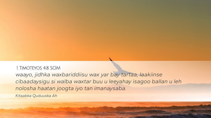 1 Timoteyos 4:8 SOM Bible Verse Image