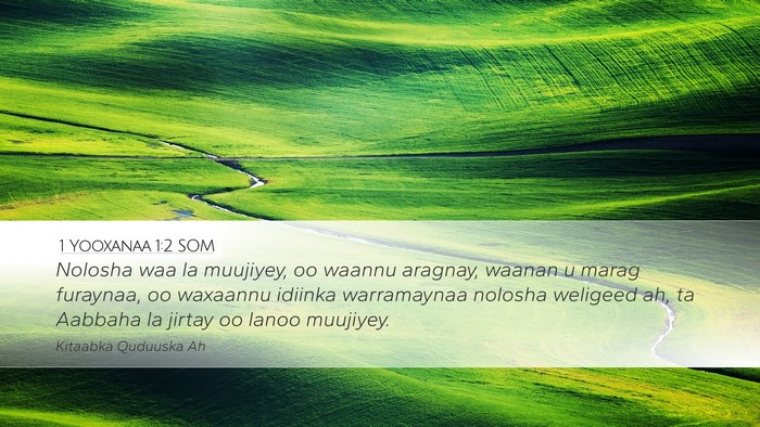 1 Yooxanaa 1:2 SOM Bible Verse Image