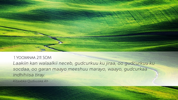 1 Yooxanaa 2:11 SOM Bible Verse Image