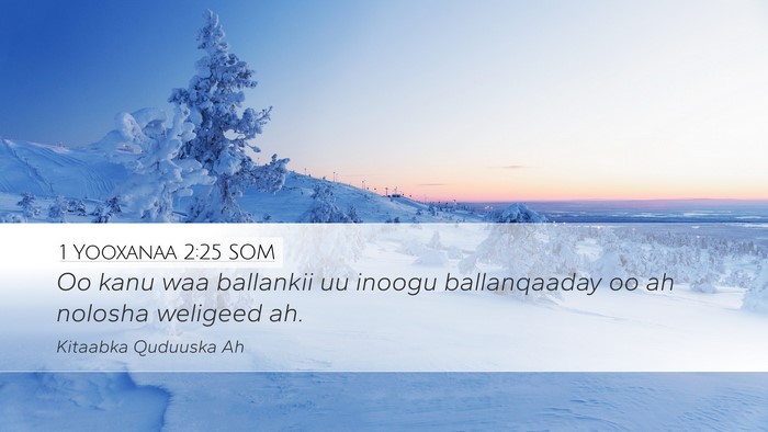1 Yooxanaa 2:25 SOM Bible Verse Image