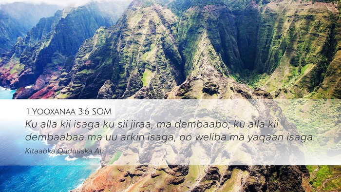 1 Yooxanaa 3:6 SOM Desktop Wallpaper - Ku alla kii isaga ku sii jiraa, ma dembaabo; ku - Desktop Bible Verse Wallpaper