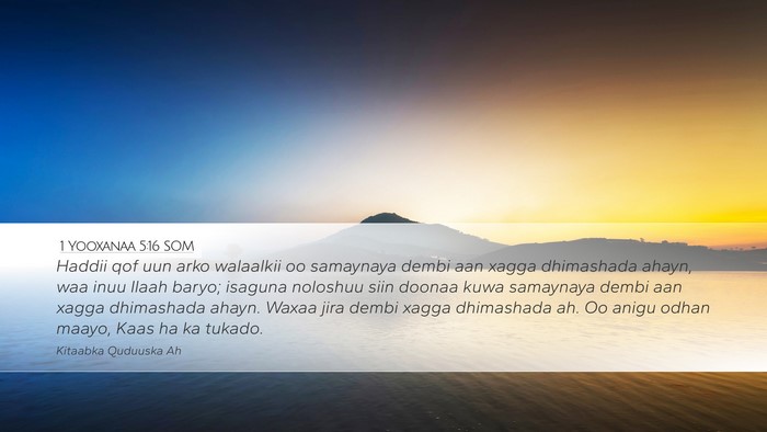 1 Yooxanaa 5:16 SOM Bible Verse Image