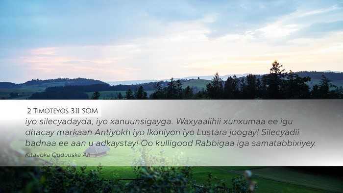 2 Timoteyos 3:11 SOM Bible Verse Image