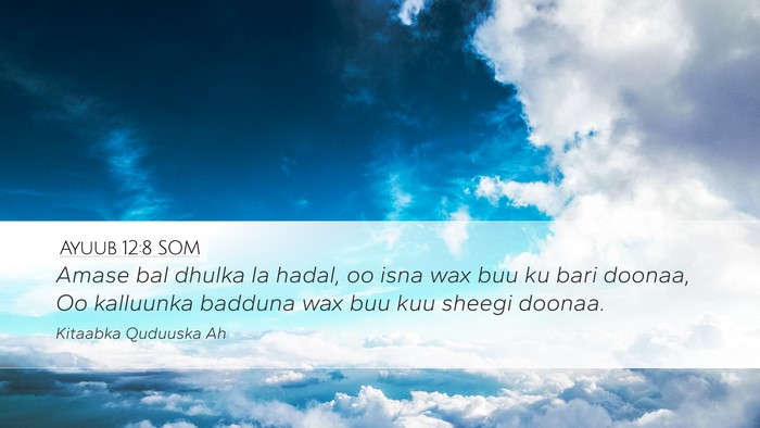 Ayuub 12:8 SOM Desktop Wallpaper - Amase bal dhulka la hadal, oo isna wax buu ku - Desktop Bible Verse Wallpaper