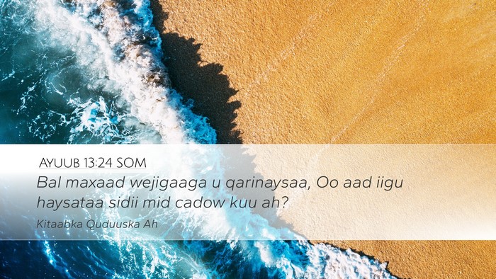 Ayuub 13:24 SOM Bible Verse Image