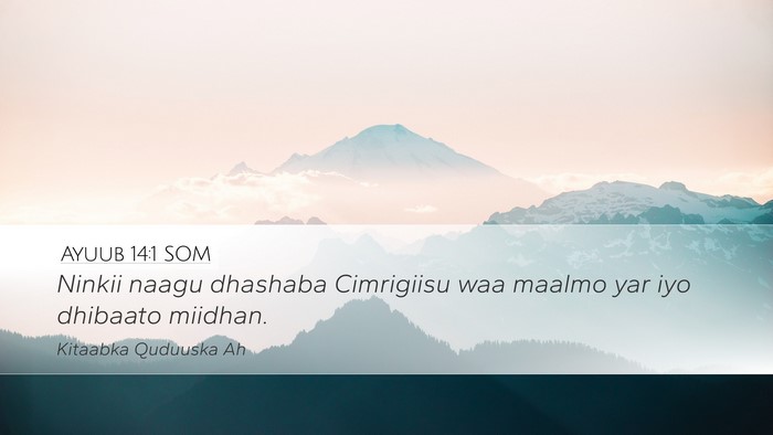 Ayuub 14:1 SOM Bible Verse Image