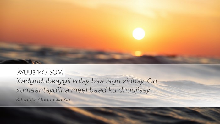 Ayuub 14:17 SOM Bible Verse Image