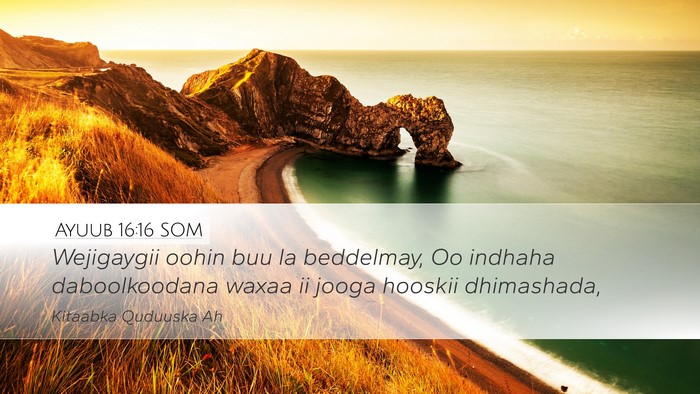 Ayuub 16:16 SOM Bible Verse Image