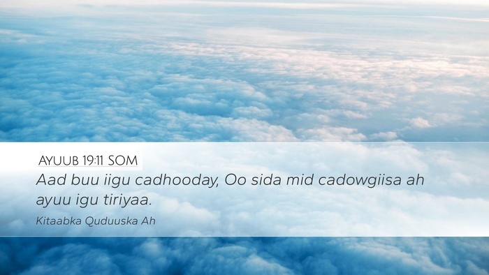 Ayuub 19:11 SOM Bible Verse Image