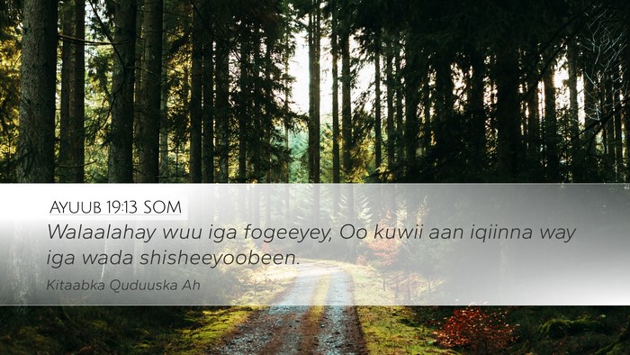 Ayuub 19:13 SOM Bible Verse Image