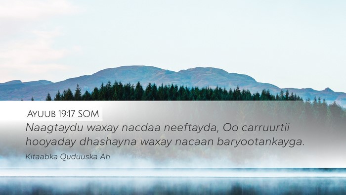Ayuub 19:17 SOM Bible Verse Image