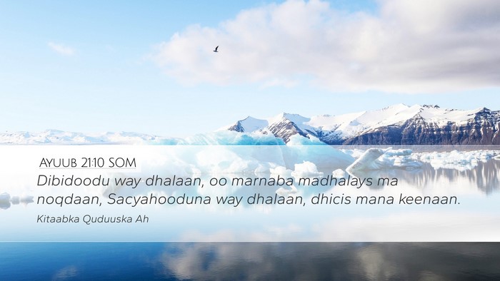 Ayuub 21:10 SOM Bible Verse Image