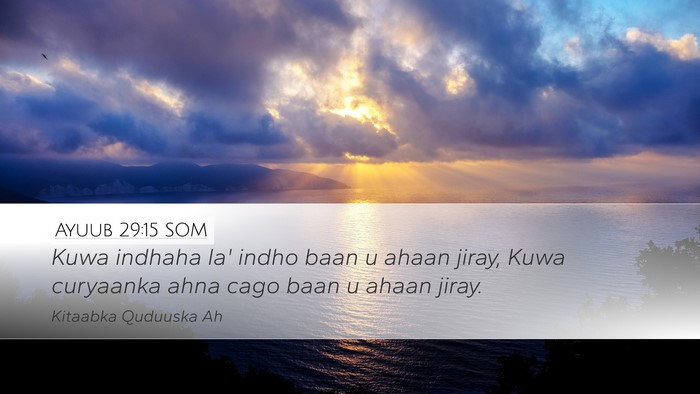 Ayuub 29:15 SOM Bible Verse Image