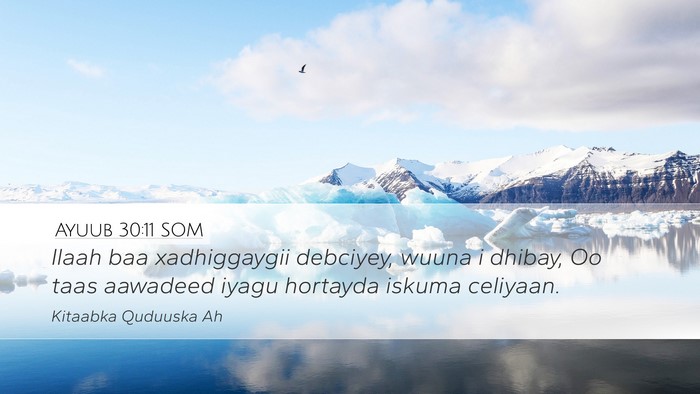 Ayuub 30:11 SOM Desktop Wallpaper - Ilaah baa xadhiggaygii debciyey, wuuna i dhibay, - Desktop Bible Verse Wallpaper