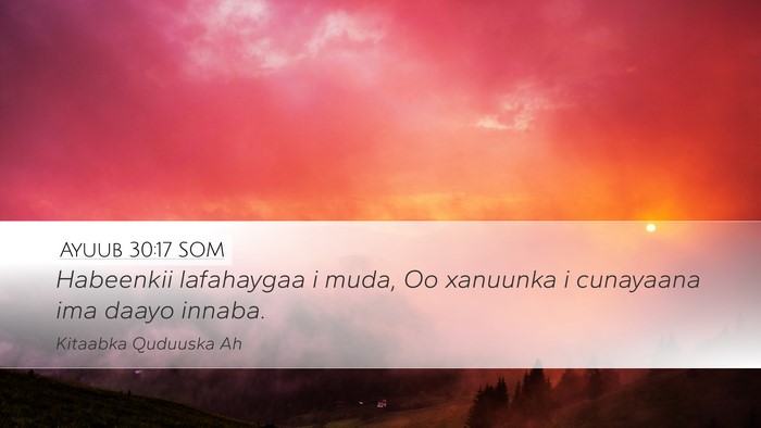 Ayuub 30:17 SOM Bible Verse Image
